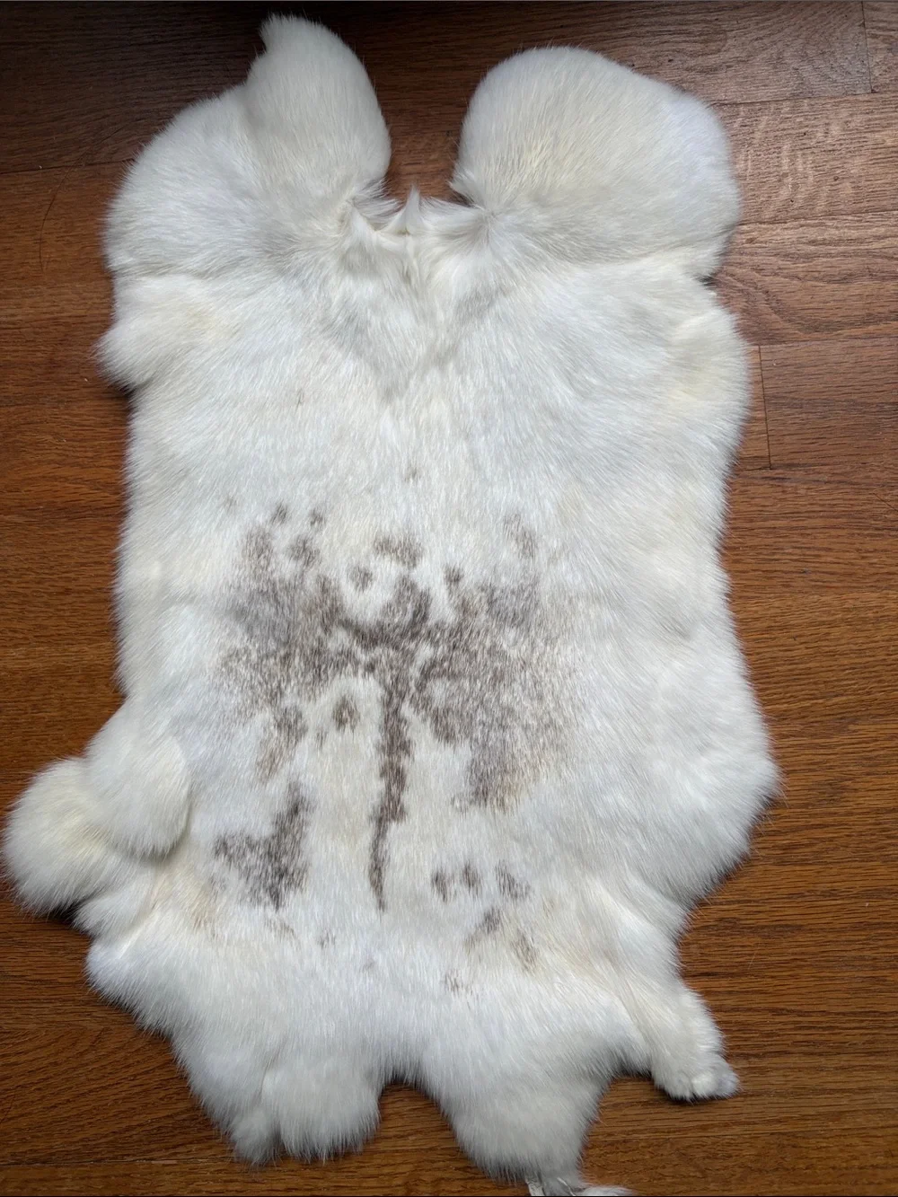 A286 rabbit pelt craft decor